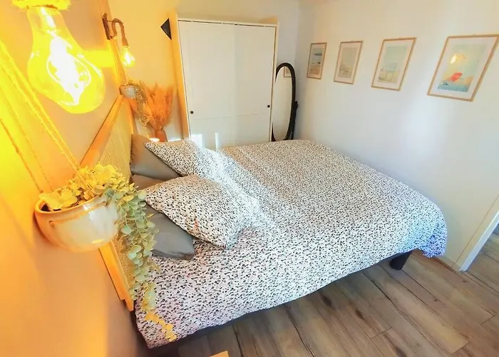 New Bioves Citron Calme Clim Wifi Plage, Renove