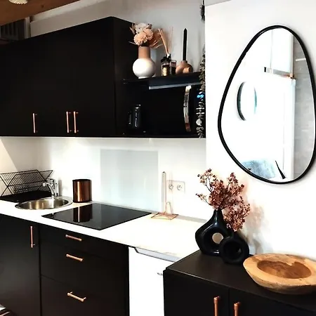 New Bioves Citron Calme Clim Wifi Plage, Renove * מנטון