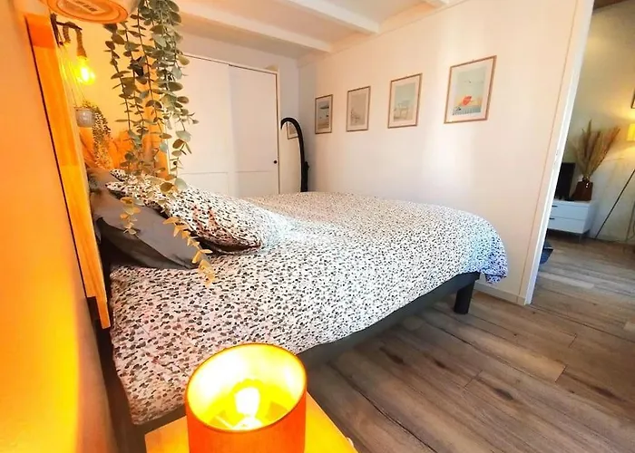 New Biovès Citron Calme Clim Wifi Plage, Renové *